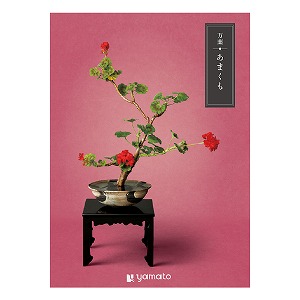 �J�^���O�M�t�g ���t ���܂���